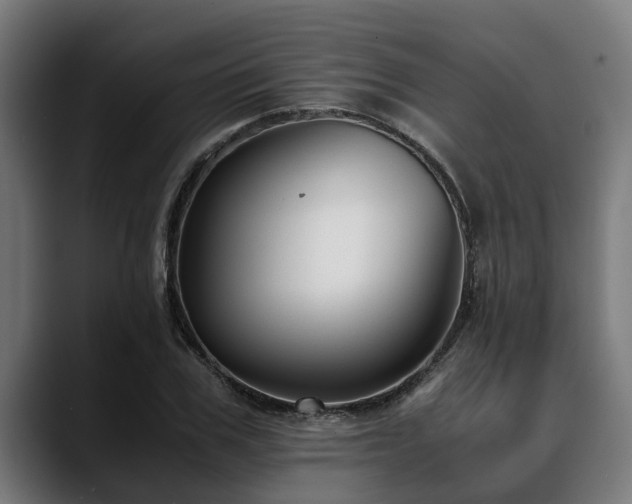 X0000088460979200705291527