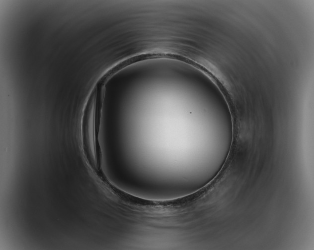 X0000088460980200705291527