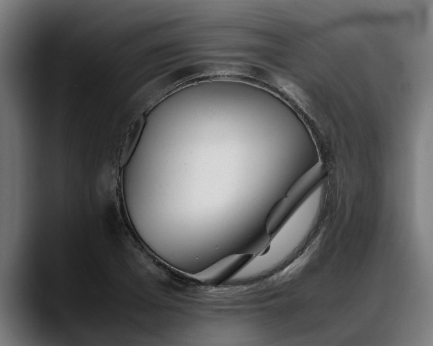 X0000088460985200705291527