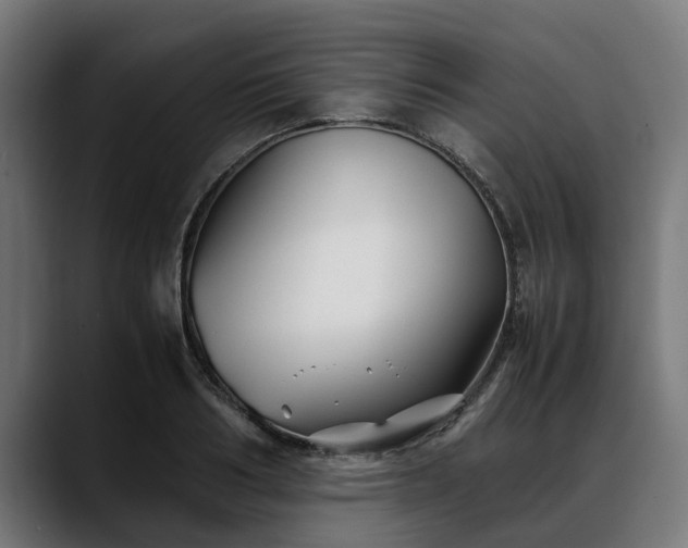 X0000088460986200705291527