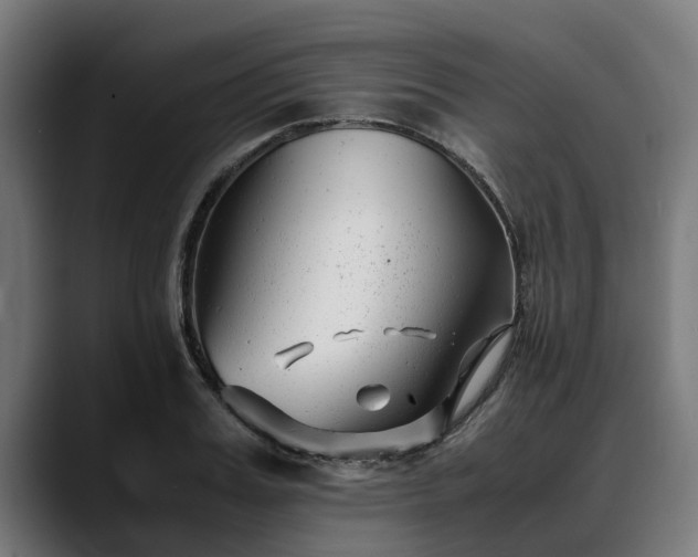 X0000088460987200705291527