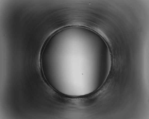 X0000088460988200705291527