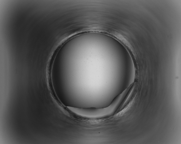 X0000088460989200705291527