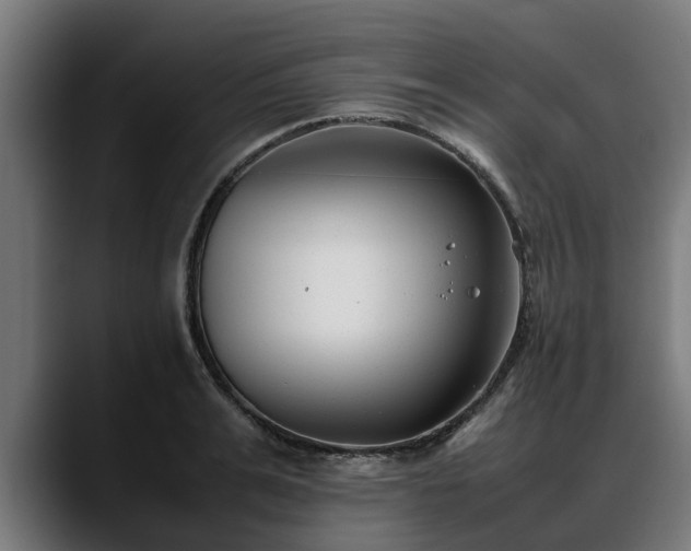 X0000088460991200705291527