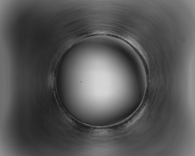 X0000088460993200705291527