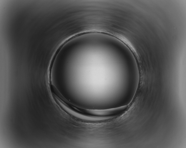 X0000088460996200705291527