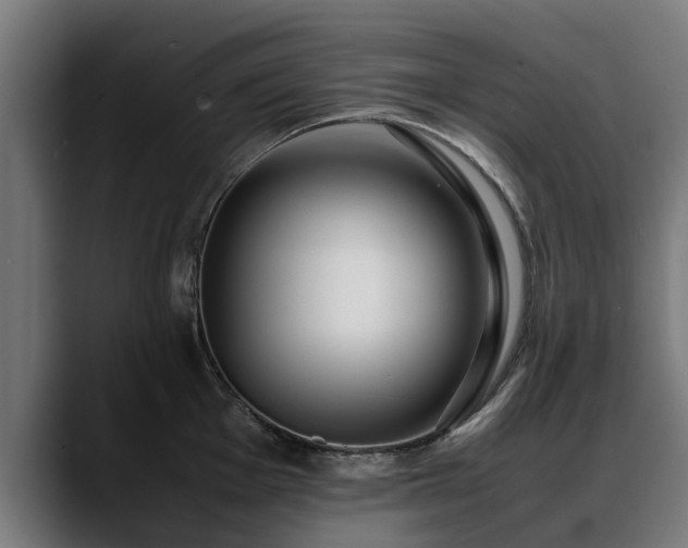 X0000088461001200705291527