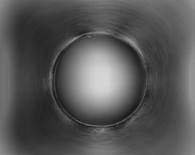 X0000088461003200705291527