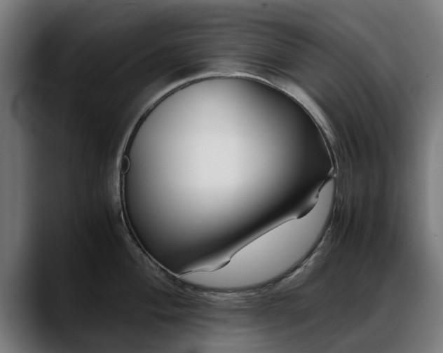 X0000088461004200705291527