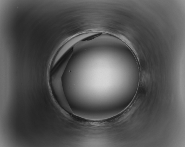 X0000088461005200705291527