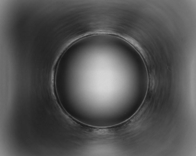 X0000088461006200705291527