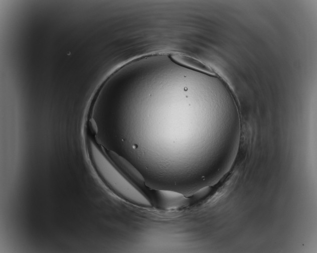 X0000088461007200705291527