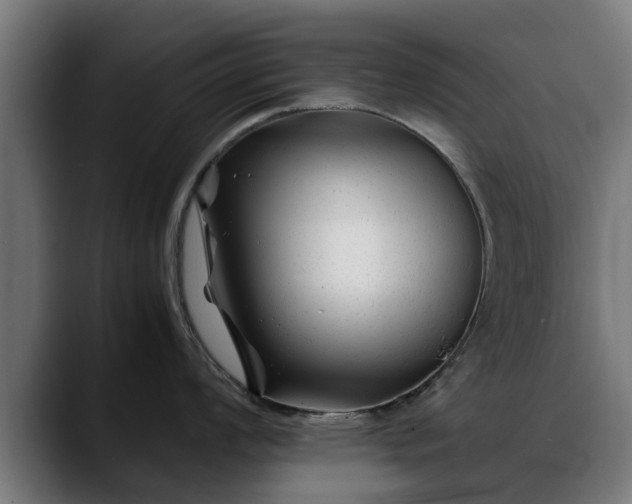 X0000088461008200705291527