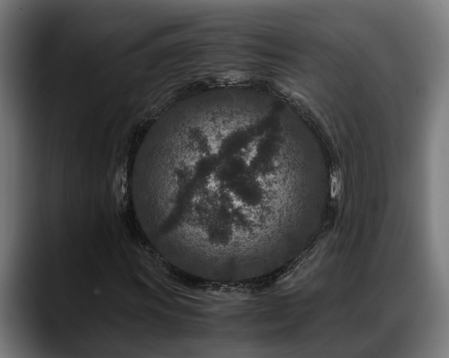 X0000088461011200705291526