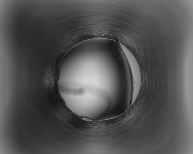 X0000088461012200705291526