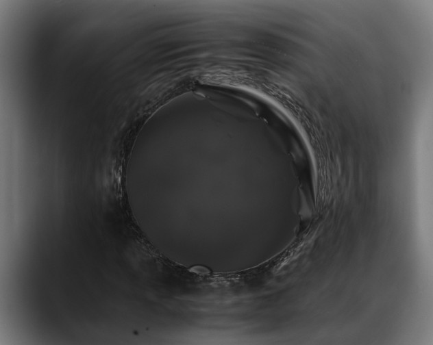 X0000088461013200705291526