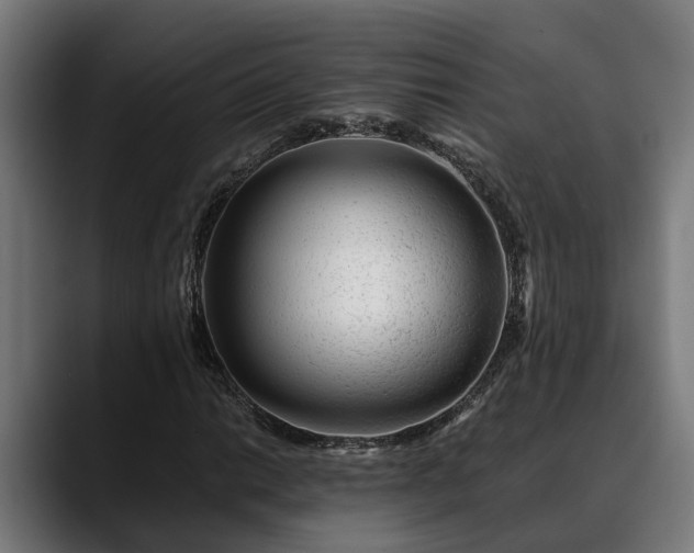 X0000088461014200705291526