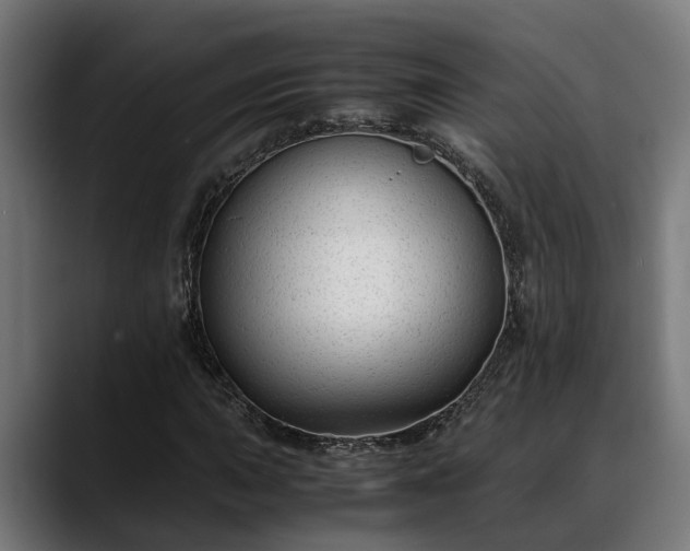 X0000088461015200705291526