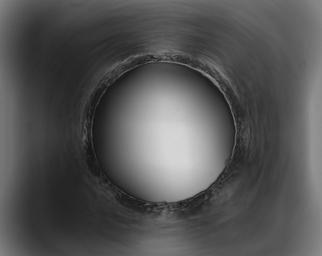 X0000088461016200705291526