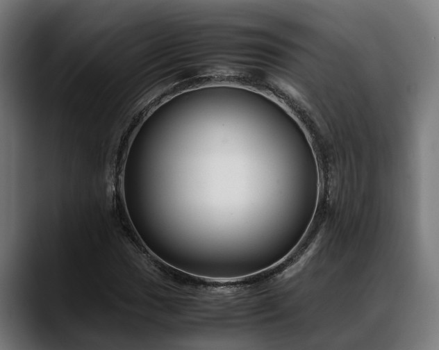 X0000088461017200705291526