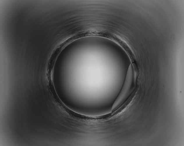 X0000088461018200705291526