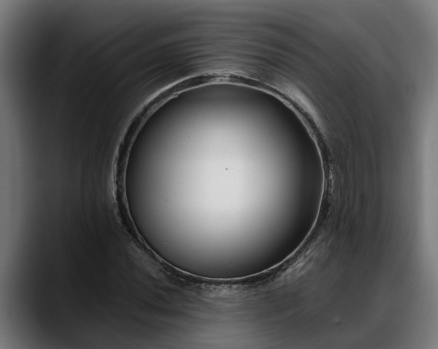 X0000088461020200705291527