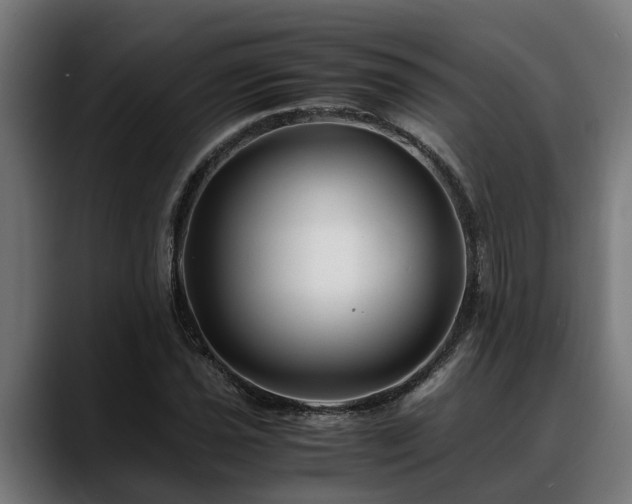 X0000088461021200705291527