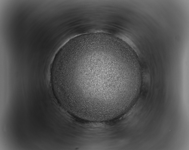 X0000088461023200705291527