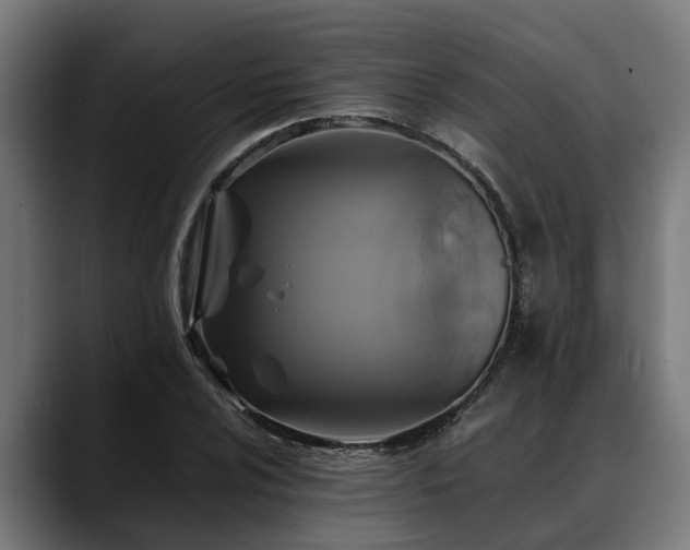 X0000088461024200705291527