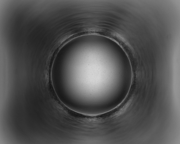 X0000088461025200705291527