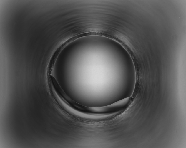 X0000088461026200705291527