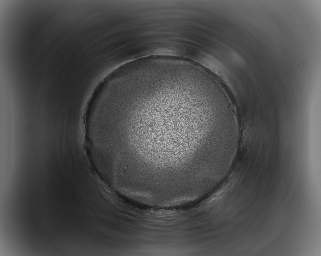 X0000088461027200705291527