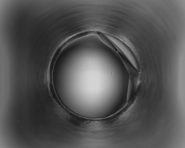 X0000088461028200705291527