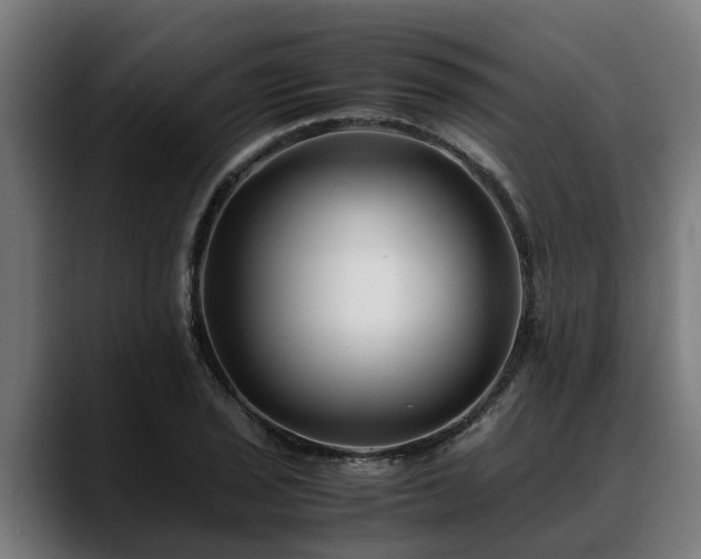 X0000088461029200705291527