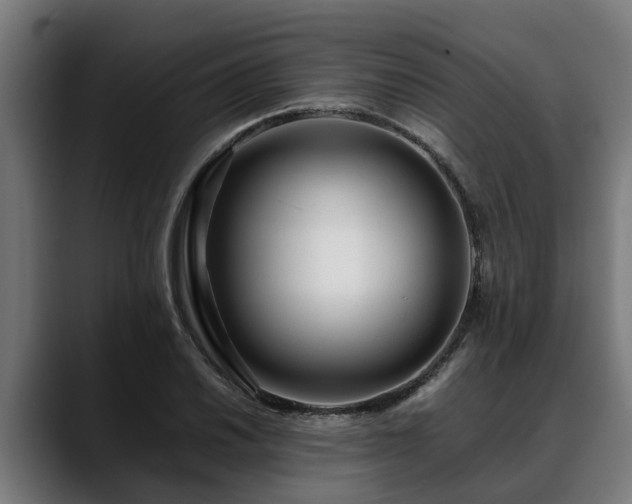 X0000088461030200705291527