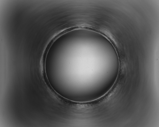 X0000088461032200705291527