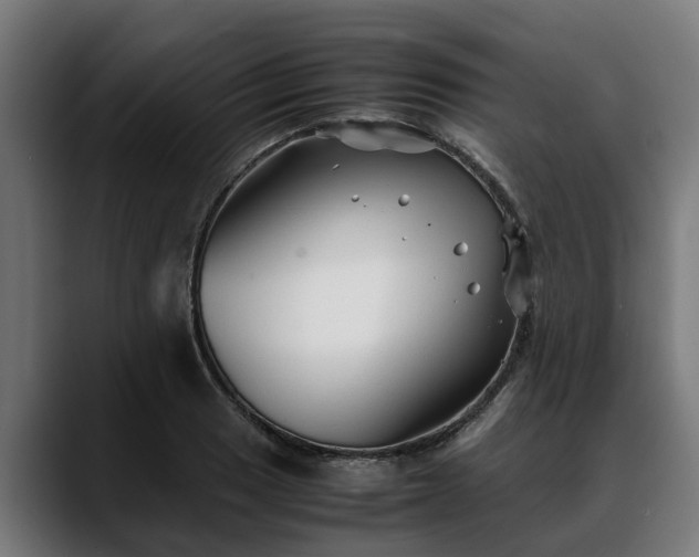 X0000088461033200705291527