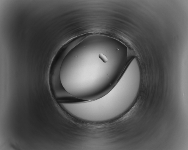 X0000088461034200705291527