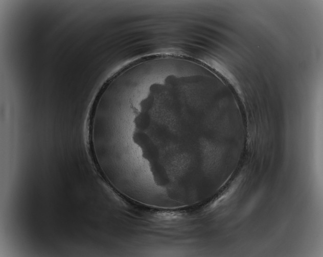 X0000088461037200705291527