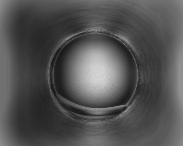 X0000088461038200705291527