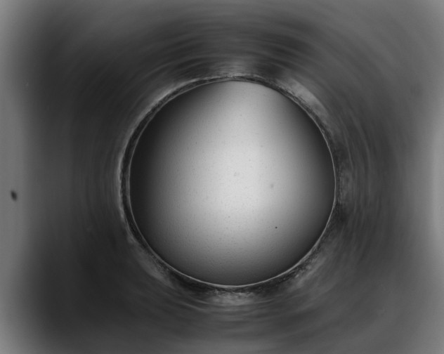 X0000088461039200705291527