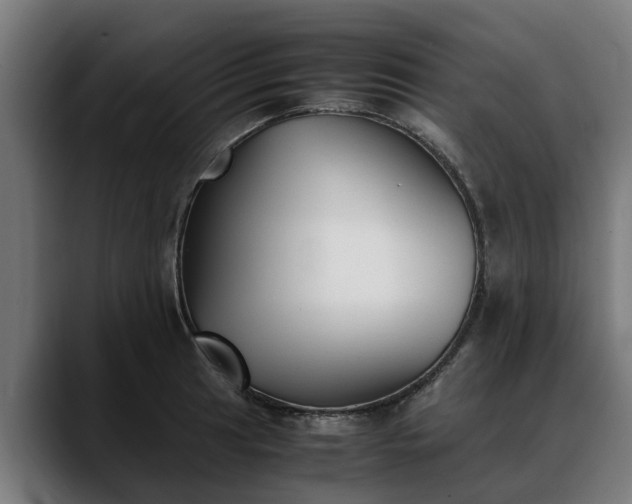 X0000088461041200705291527