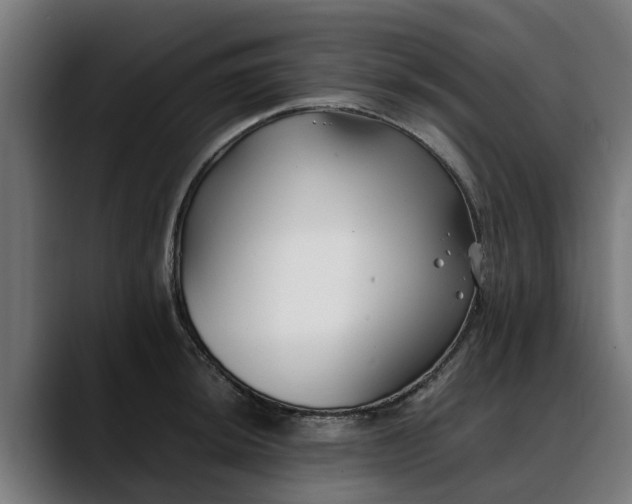 X0000088461044200705291527