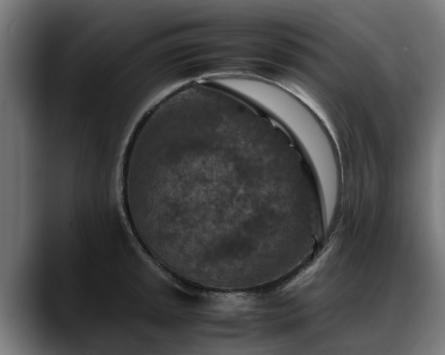 X0000088461045200705291527