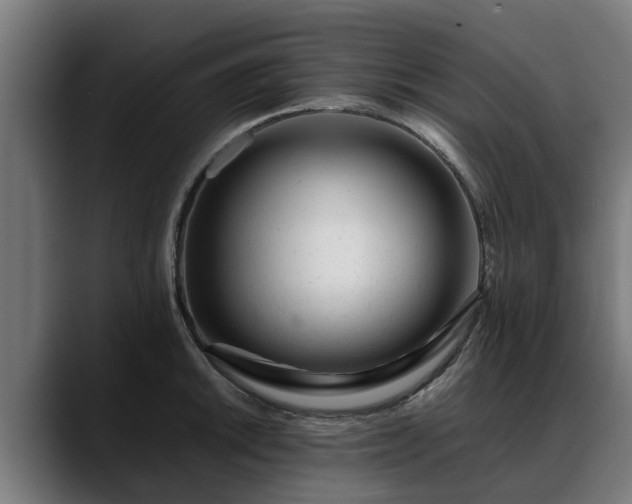 X0000088461046200705291527