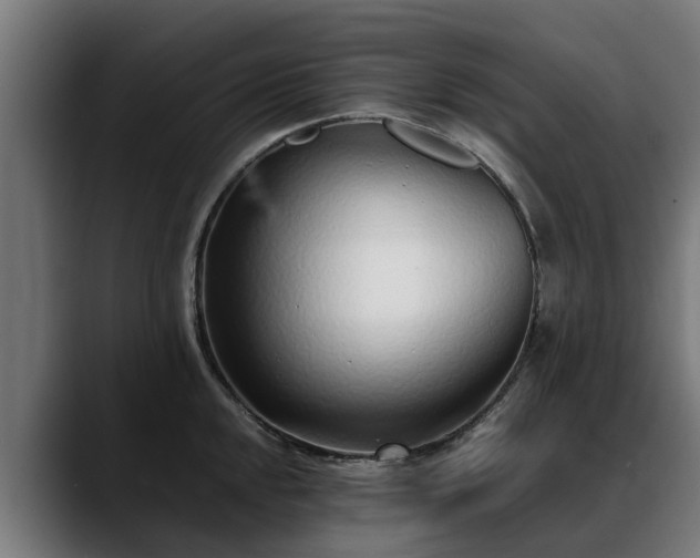 X0000088461048200705291527