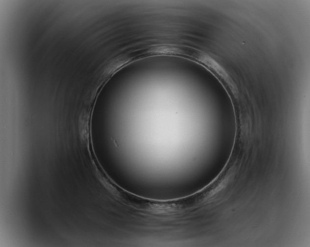 X0000088461049200705291527