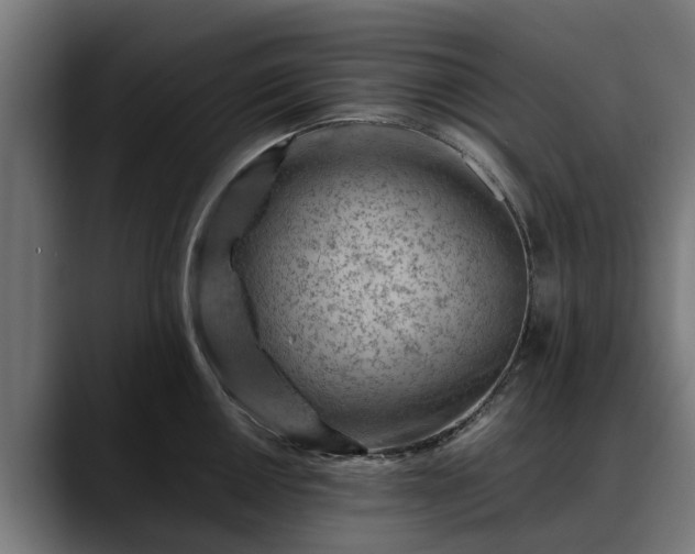 X0000088461050200705291527