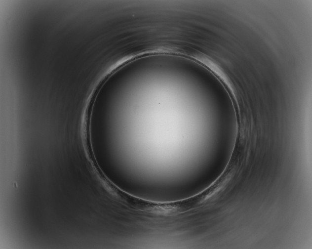 X0000088461053200705291527