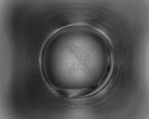 X0000088461054200705291527